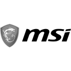 MSI_Logo